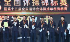 爱游戏体育:爱游戏APP下载:江苏队豪取体操全锦赛男团六连冠